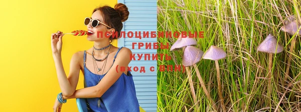 apvp Балабаново