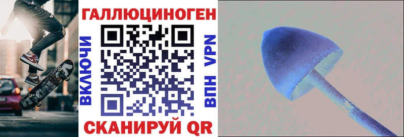 Галлюциногенные грибы прущие грибы  Западная Двина 