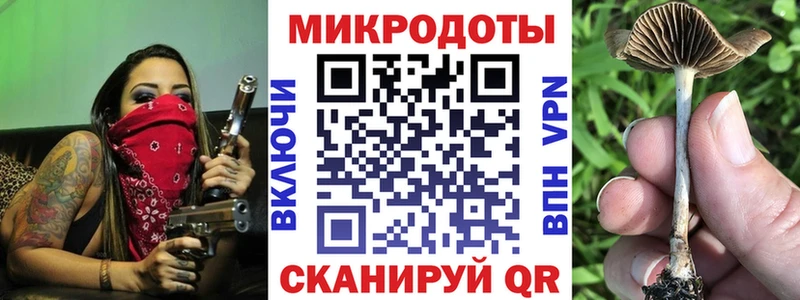 Галлюциногенные грибы прущие грибы Западная Двина
